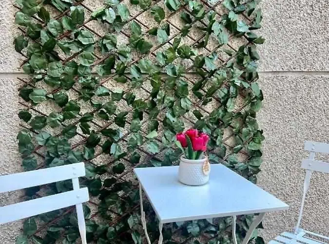 Apartmán Almamater *