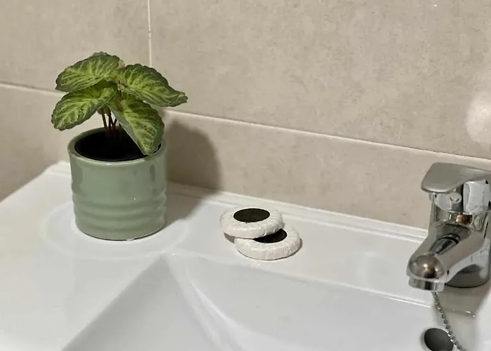 Almamater Саламанка