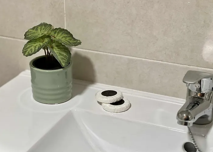 Apartmán Almamater *