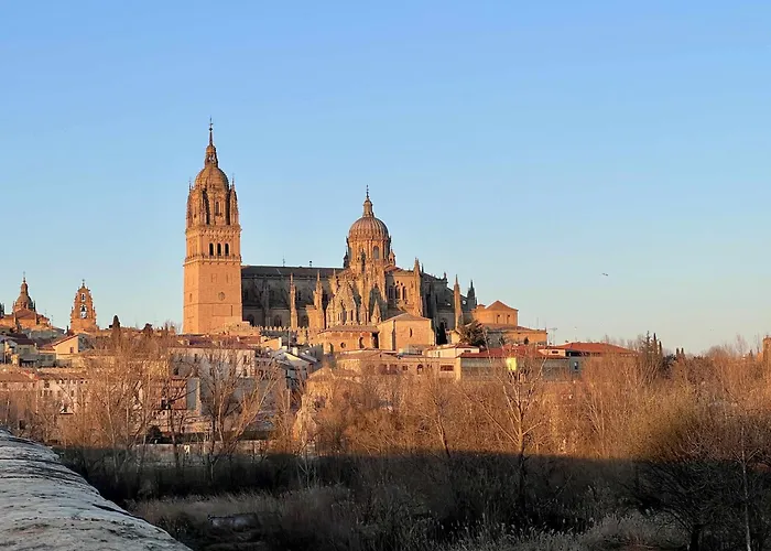 Almamater Apartmán *